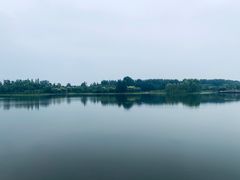 -东郊湿地公园