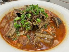 -苏启渔港(云南北路店)