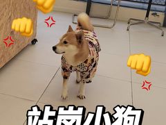 -怪兽屋·羊驼·猫咖·狗咖(俊华广场店)