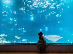 -福州罗源湾海洋世界旅游区