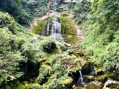 -鹿院坪生态旅游景区