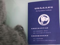 -宠福鑫康馨动物医院·骨科·眼科