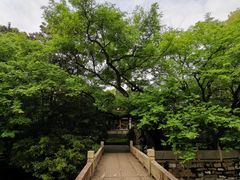 -汇龙潭