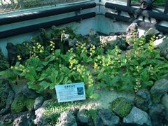 iphone_upload_pic-汉拿树木园