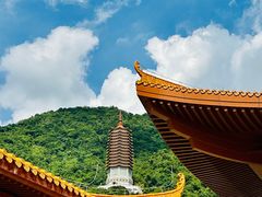 -深圳仙湖植物园