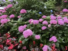 -常州古运河南大街文化旅游区-人民公园