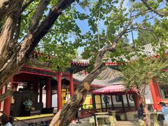 -宫事颐庭·老佛爷贵寿下午茶(颐和园店)