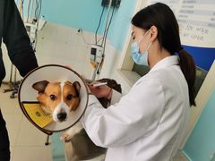 -畜牧兽医站(共江路店)