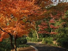 -无锡惠山寺