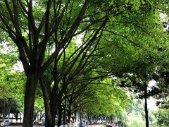 -西南政法大学(渝北校区)