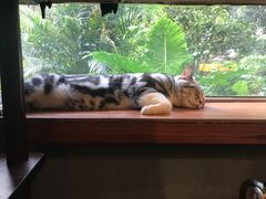 -咖法森林·咖啡  酒吧(天河店)