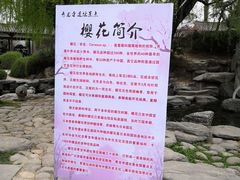 -西安青龙寺遗址景区