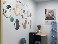 -艾贝尔宠物医院·宠保定点·超声绝育·免疫点(樱花路店)