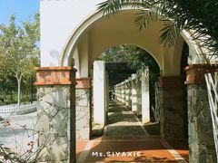 -金汤湾海水温泉度假酒店