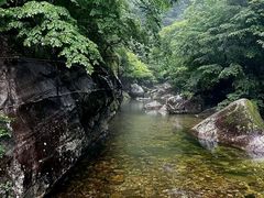 -牛背梁国家森林公园