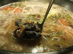 -易门野生菌府·菌海森林(月牙潭公园店)