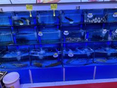 -晶渔坊·海鲜私房菜(东夷小镇店)