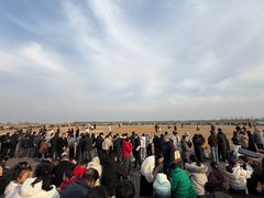 -盐城丹顶鹤湿地生态旅游区