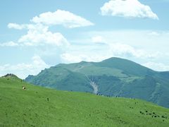 -灵山