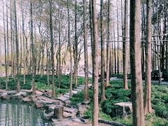 -大宁公园