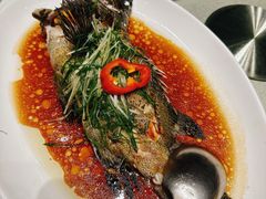 -东海海鲜酒家(中信广场店)