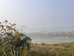-金海湾滨江公园