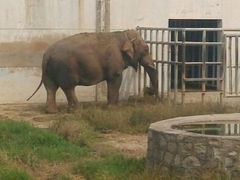 android_upload_pic-西安秦岭野生动物园