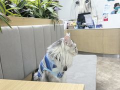 -美联众合动物医院·24h转诊中心