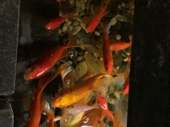 -颐和•海鲜砂锅粥•啫啫煲(奥林匹克广场店)
