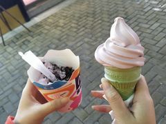 -麦当劳(金桥店)