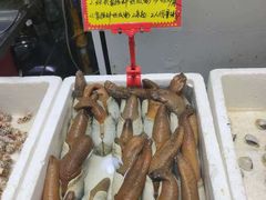 -蚝专家(北滘店)