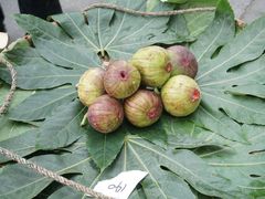 -四川大学(华西校区)