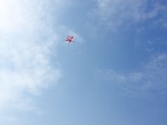 奥林匹克森林公园南门停车场-奥林匹克森林公园南门-停车场