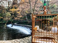 -阿哈湖国家湿地公园