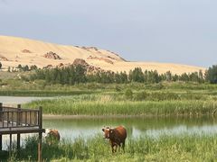 -玉龙沙湖景区
