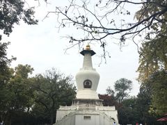 -金鹰国际购物中心(江都店)