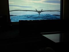 -延庆地质公园博物馆