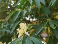 -大钟寺古钟博物馆