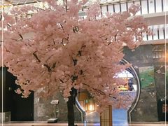 -添赐温泉馆(上南路店)