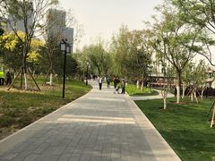 -西海子公园