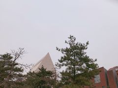 -中国艺术研究院油画院