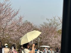 -自然谷恐龙园