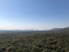 -灵谷景区
