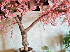 -東大方(安吉灵芝店)