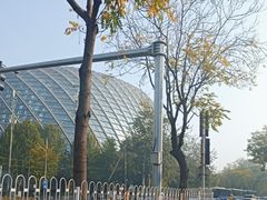 -凤凰中心