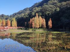 -广州市石门国家森林公园