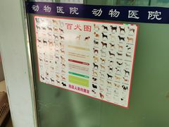 -乐宠动物医院