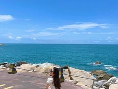 -广东惠东海龟国家级自然保护区