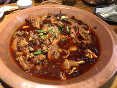-成老灶火锅鸡(高东街店)