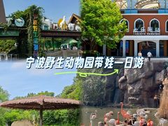 -宁波野生动物园
